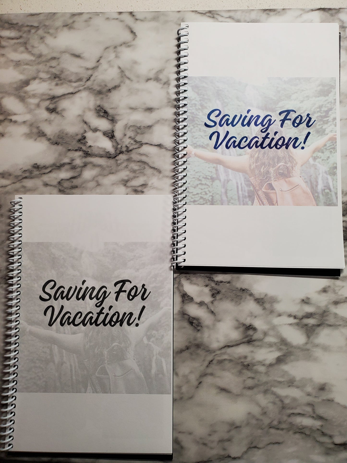 Learning To Budget and Save