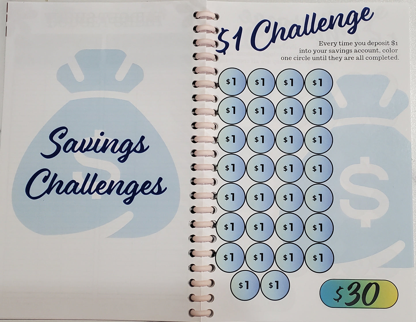 Refill Pages for Learning To Budget and Save Journal